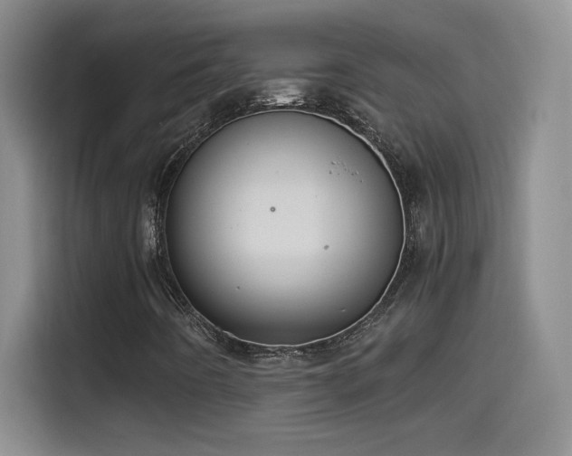 X0000114501442200910191241