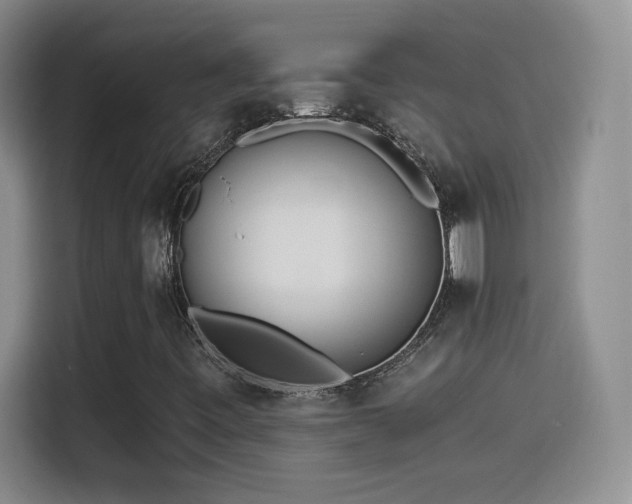 X0000114501443200910191241