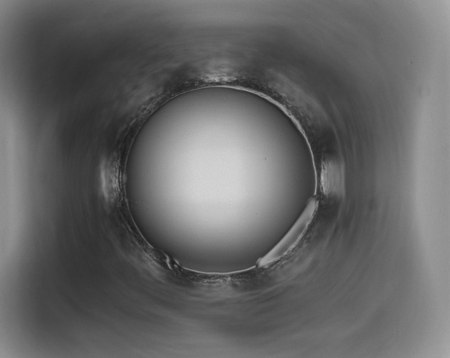 X0000114501444200910191241
