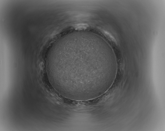 X0000114501445200910191241