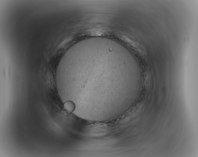 X0000114501446200910191241