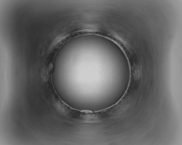 X0000114501448200910191241