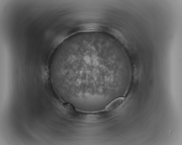X0000114501449200910191241