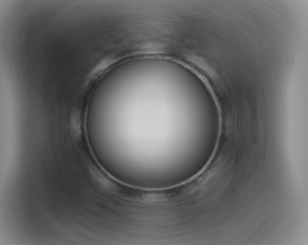 X0000114501451200910191241