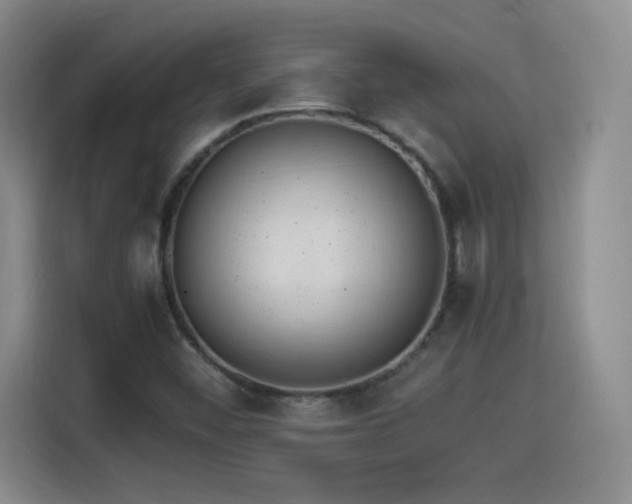 X0000114501452200910191241