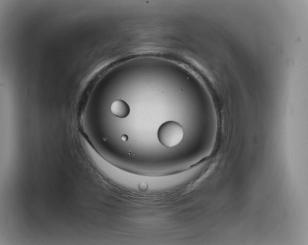 X0000114501453200910191241