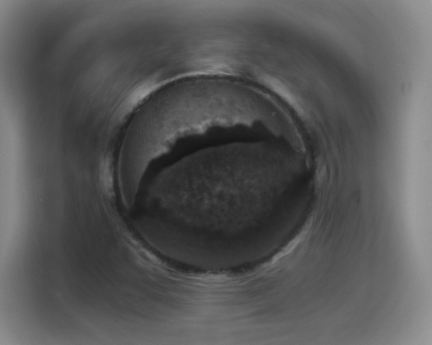 X0000114501455200910191241