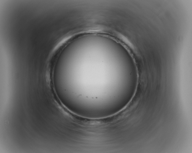 X0000114501456200910191241