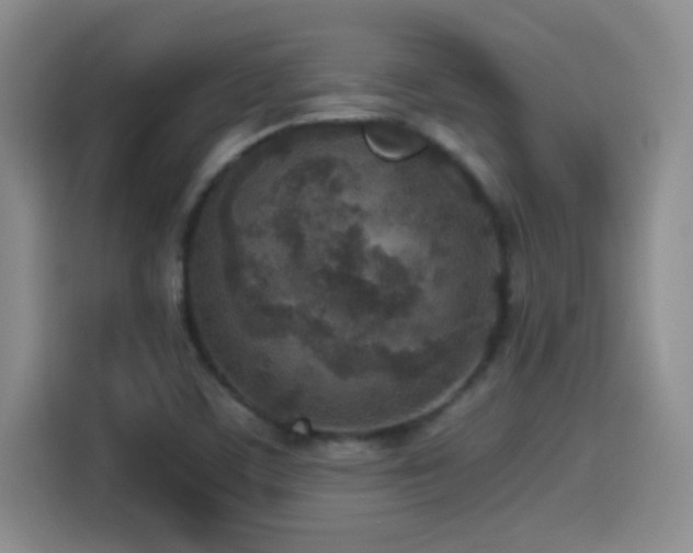 X0000114501459200910191241