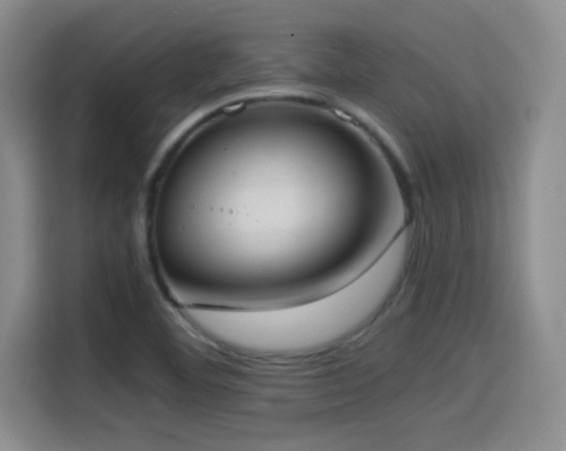 X0000114501460200910191241