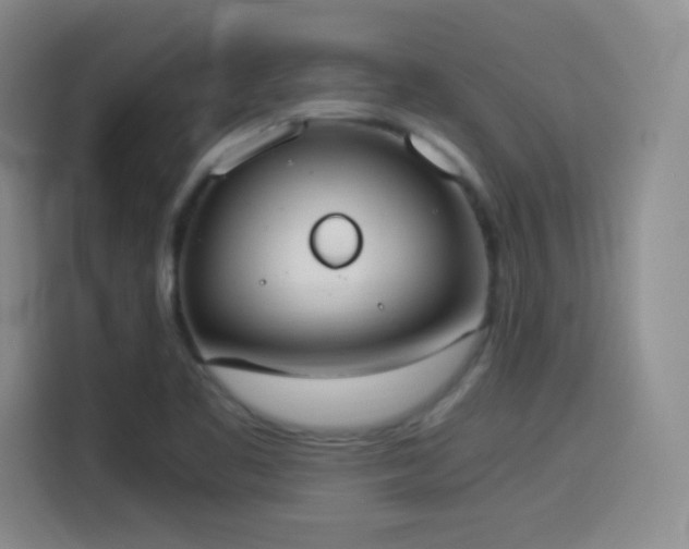 X0000114501461200910191241