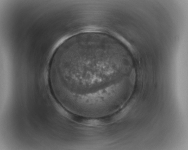 X0000114501463200910191241