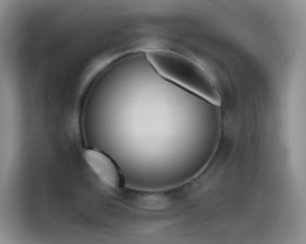 X0000114501464200910191241