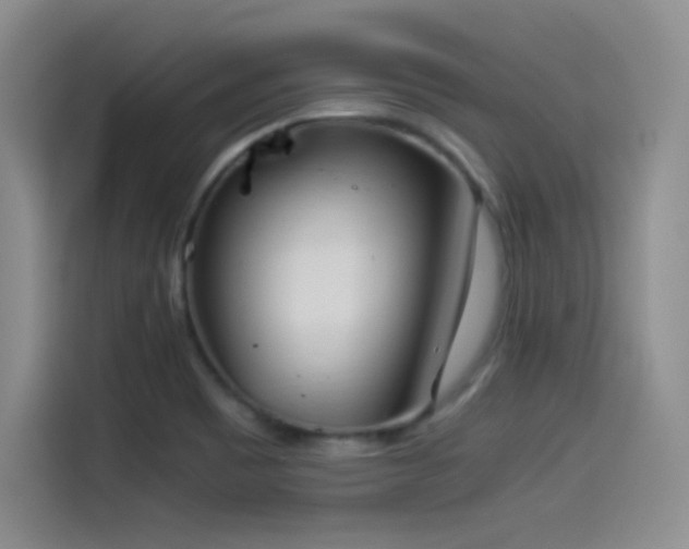 X0000114501465200910191241