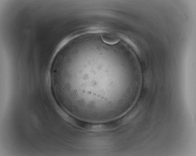 X0000114501467200910191241
