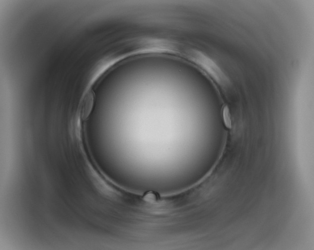 X0000114501468200910191241