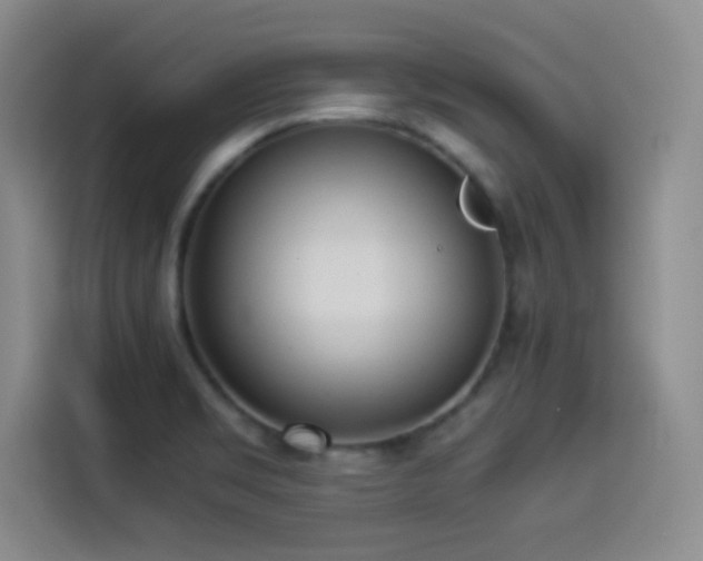 X0000114501469200910191241