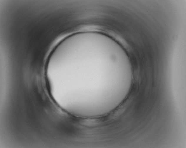 X0000114501470200910191241