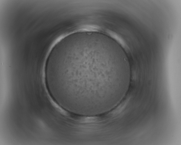 X0000114501471200910191241