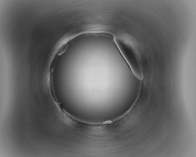 X0000114501472200910191241