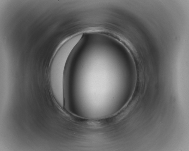 X0000114501473200910191241