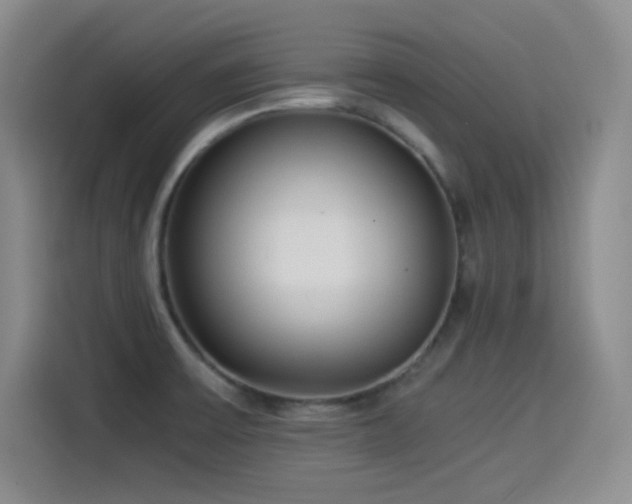 X0000114501475200910191241