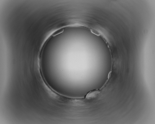 X0000114501476200910191241