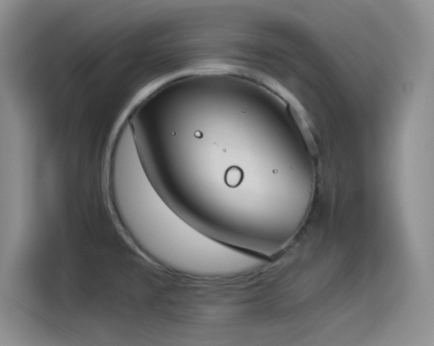 X0000114501477200910191241