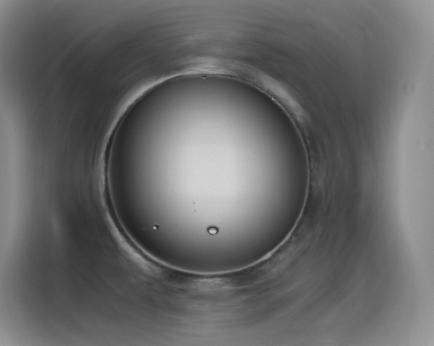 X0000114501479200910191241