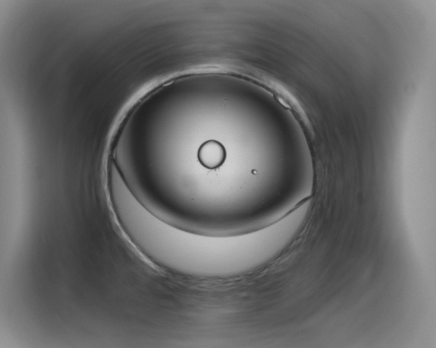 X0000114501480200910191241