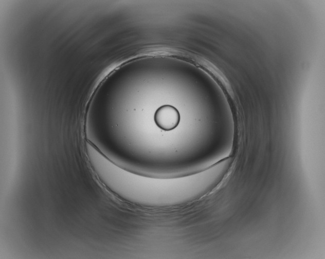 X0000114501481200910191241