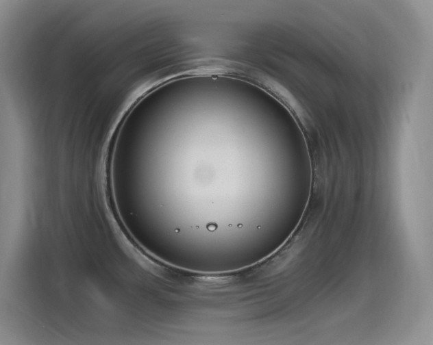 X0000114501483200910191241