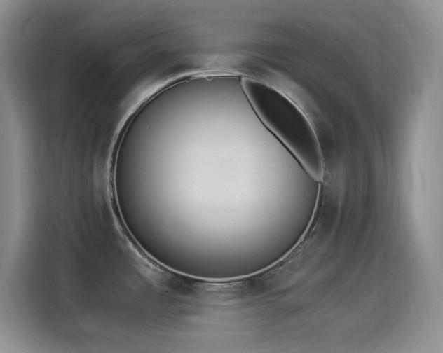 X0000114501485200910191241