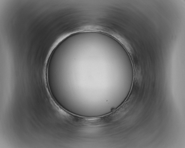 X0000114501486200910191241