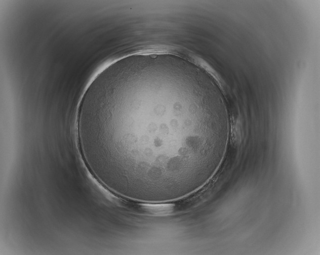 X0000114501487200910191241