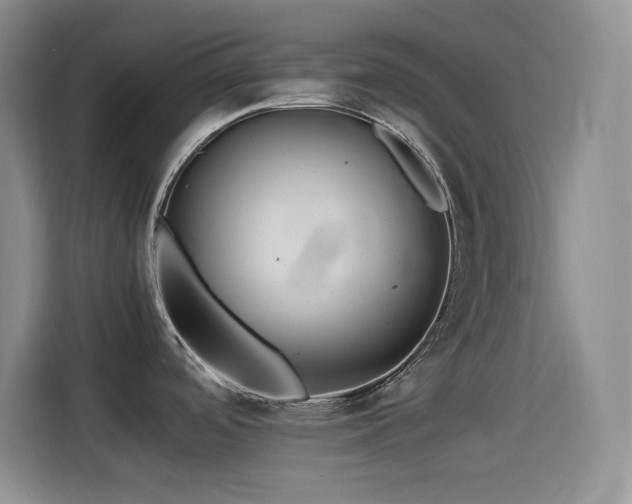 X0000114501488200910191241