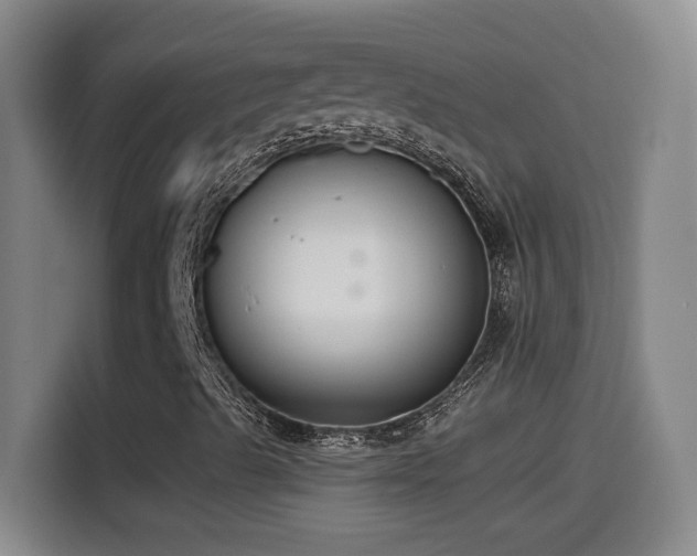 X0000114501489200910191240