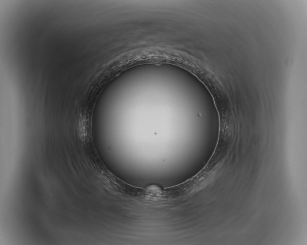 X0000114501490200910191240
