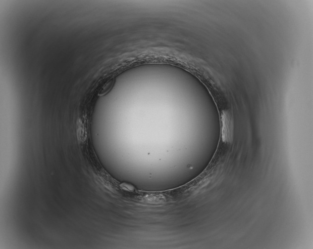 X0000114501491200910191240