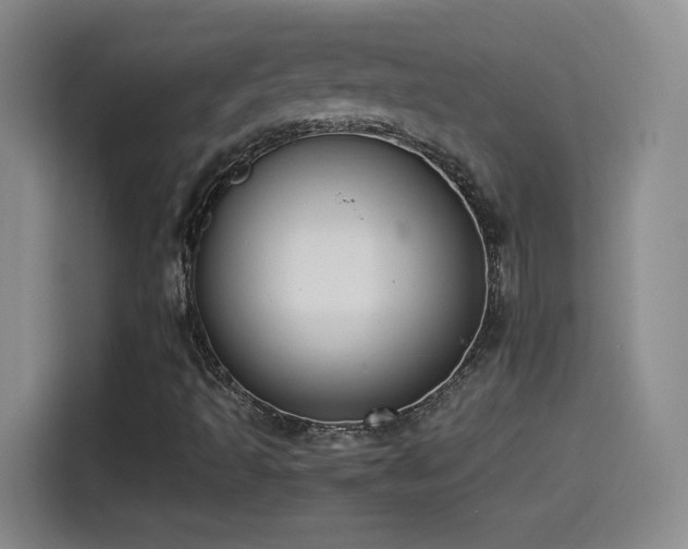 X0000114501493200910191240