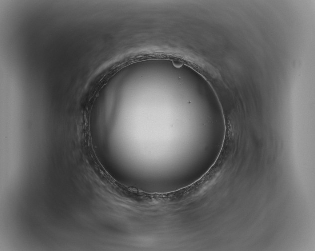X0000114501494200910191240