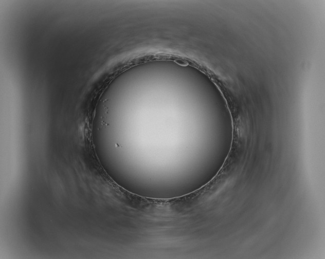 X0000114501495200910191240