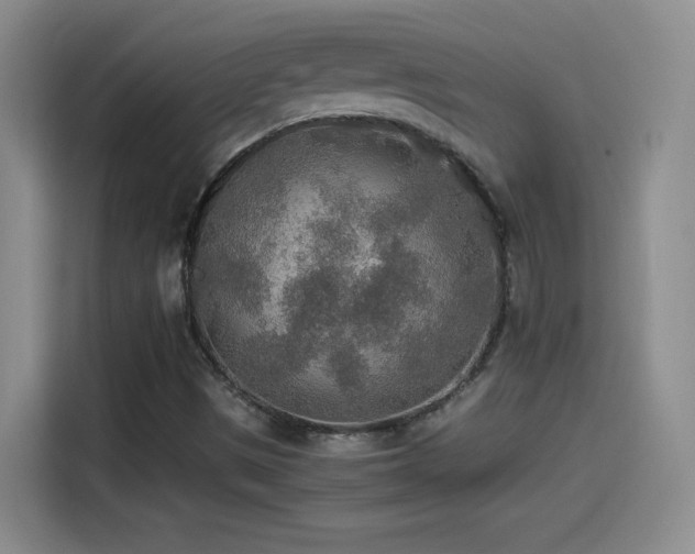 X0000114501497200910191240
