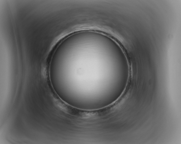 X0000114501501200910191240