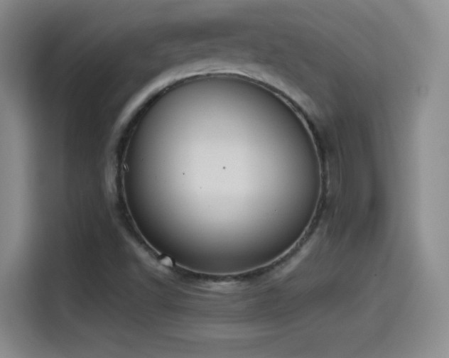 X0000114501502200910191240