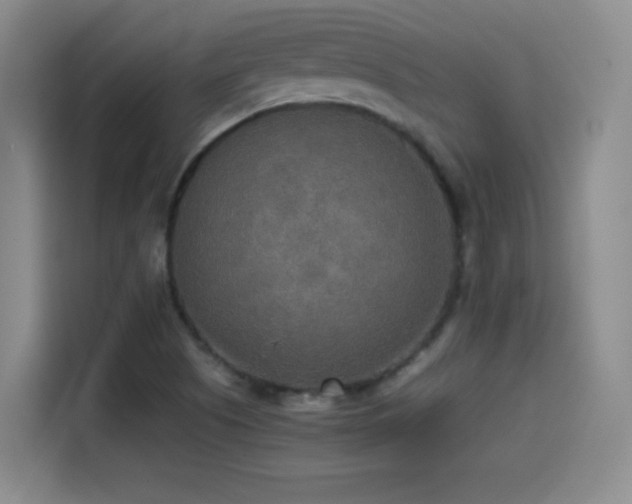 X0000114501505200910191240