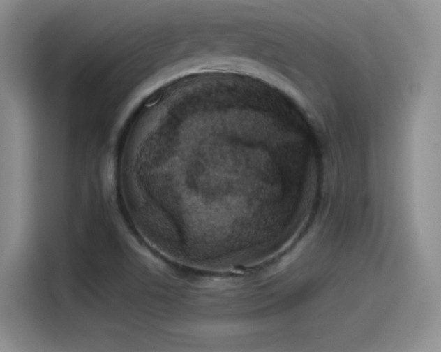 X0000114501506200910191240