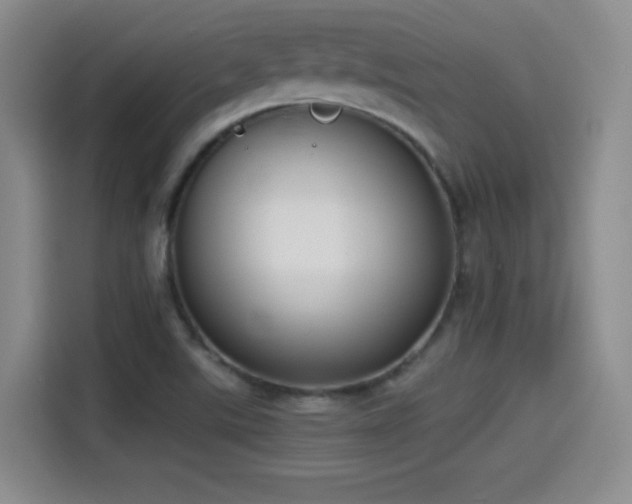 X0000114501507200910191240