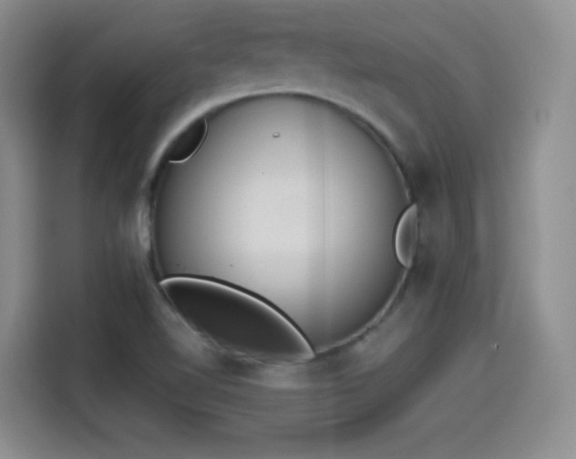 X0000114501510200910191240