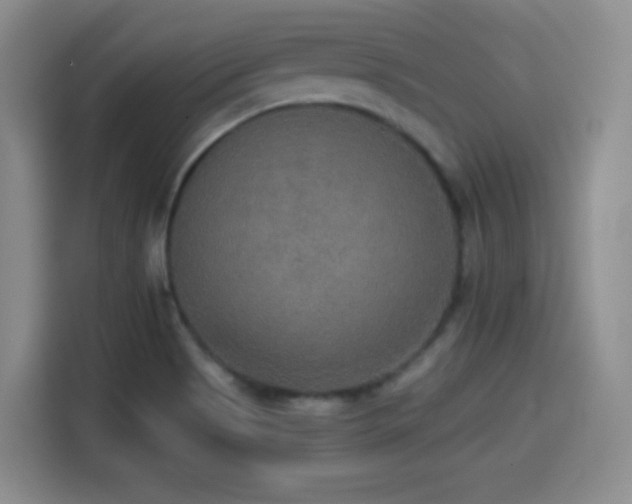 X0000114501513200910191240